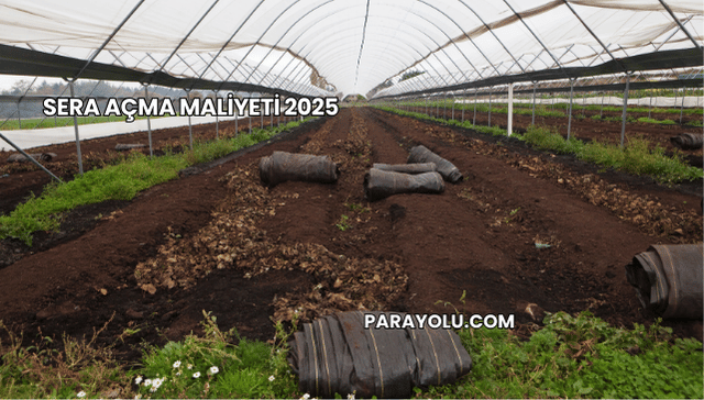 Sera Açma Maliyeti 2025