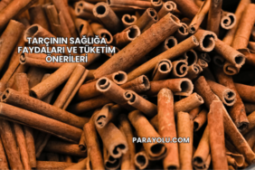 Tarçının Sağlığa Faydaları ve Tüketim Önerileri