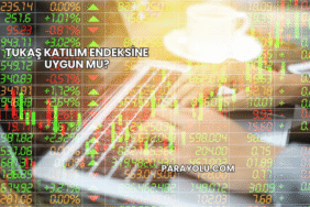 Tukaş Katılım Endeksine Uygun mu?