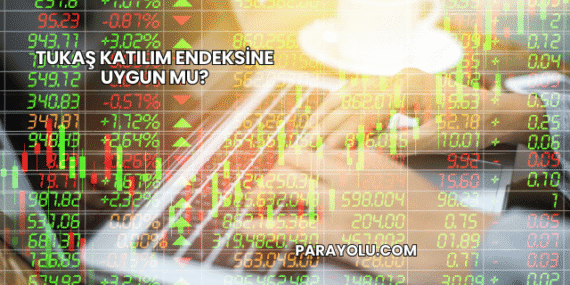 Tukaş Katılım Endeksine Uygun mu?