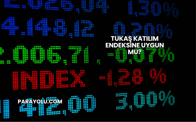 Tukaş Katılım Endeksine Uygun mu?