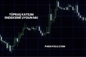 Tüpraş Katılım Endeksine Uygun mu