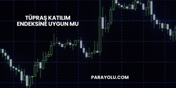 Tüpraş Katılım Endeksine Uygun mu