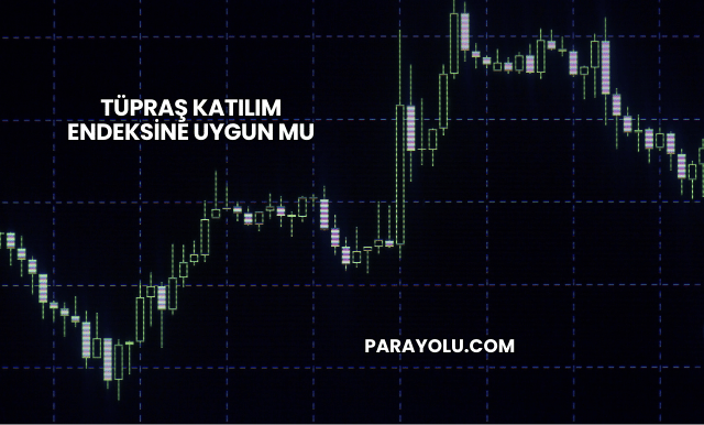 Tüpraş Katılım Endeksine Uygun mu