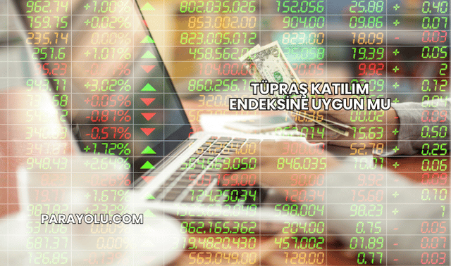 Tüpraş Katılım Endeksine Uygun mu