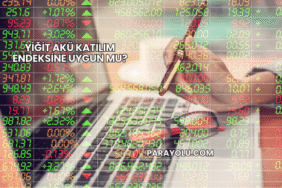 Yiğit Akü Katılım Endeksine Uygun mu?