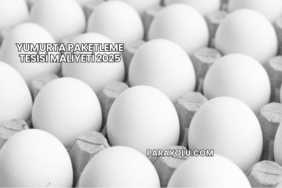 Yumurta Paketleme Tesisi Maliyeti 2025