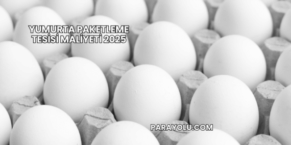Yumurta Paketleme Tesisi Maliyeti 2025