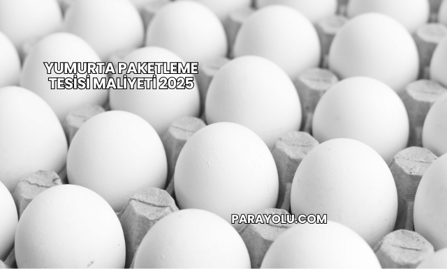 Yumurta Paketleme Tesisi Maliyeti 2025