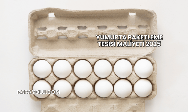 Yumurta Paketleme Tesisi Maliyeti 2025