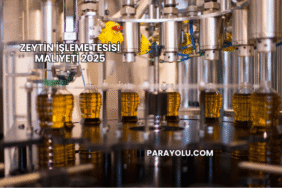 Zeytin İşleme Tesisi Maliyeti 2025