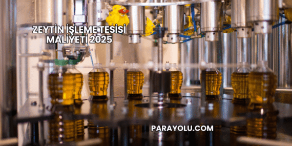 Zeytin İşleme Tesisi Maliyeti 2025