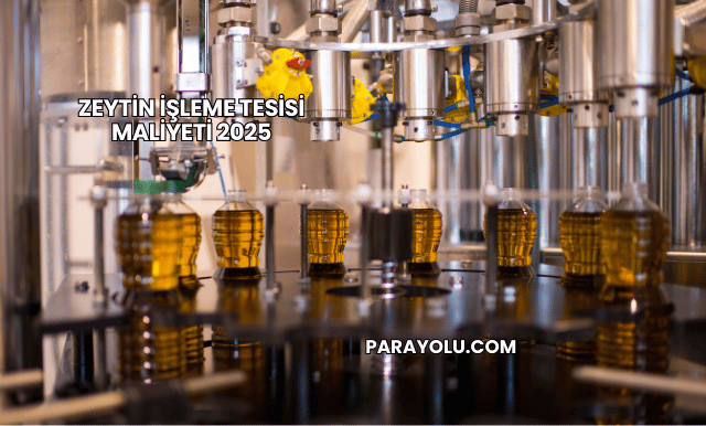 Zeytin İşleme Tesisi Maliyeti 2025