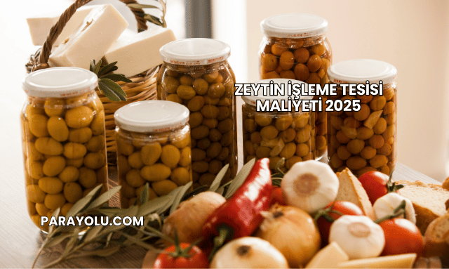Zeytin İşleme Tesisi Maliyeti 2025