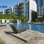 Çilek Havuz Hakkında