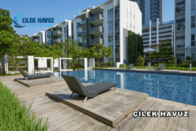 Çilek Havuz Hakkında