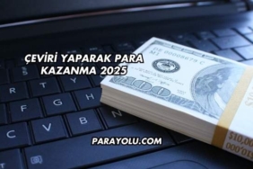 Çeviri Yaparak Para Kazanma 2025